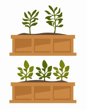 Bitkiler kutuları sera plantasyon büyüyen ve yetiştirme Botanik Bahçe çiçek ağaç veya çalı filiz kapalı ve açık yeşil zemin ahşap konteyner bitki örtüsü flowerbed toprakta vektör.