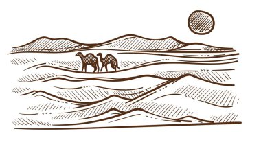 Çöl deve ve barkhans veya kum tepeleri ile sketch vektör Afrika Doğa Manzara Güneş ve vahşi hayvanlar Sahara ısı seyahat Mısır kum tepeleri ve sıcak iklim Suudi Arabistan sahne ya da görünüm için çizim.