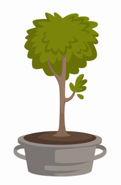 Metal kova gövde ve büyüyen bitki örtüsü ve tarım vektör sera veya meyve bahçesi yeşilliklerle tarım ve botanik toprak zemin yeşil bitki veya meyve ağacı Fideler bahçe hobi plantasyon bırakır.