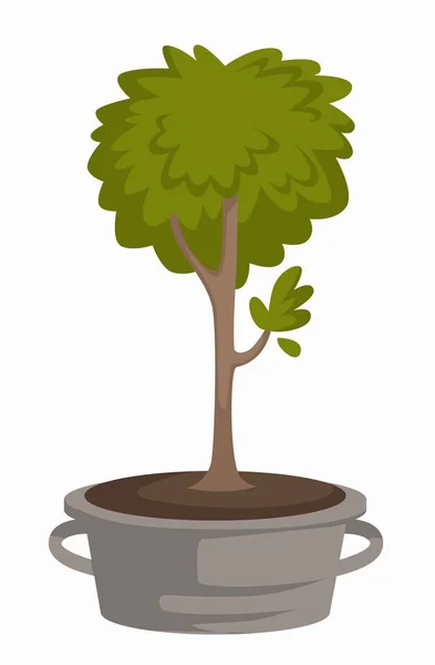 Pflanze Oder Obstbaum Sprießen Metallenen Eimer Stamm Und Laub Anbau — Stockvektor
