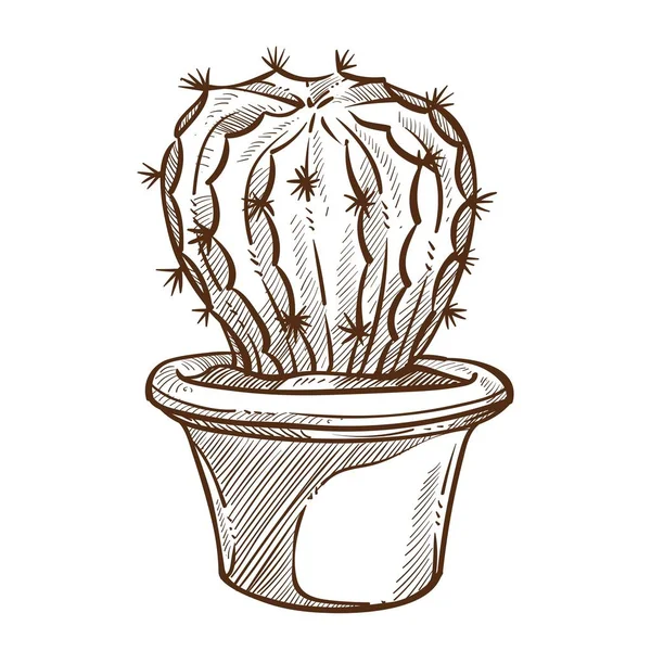 Hus Plante Kaktus Pot Skitse Indendørs Blomst Med Pigge Eller – Stock-vektor