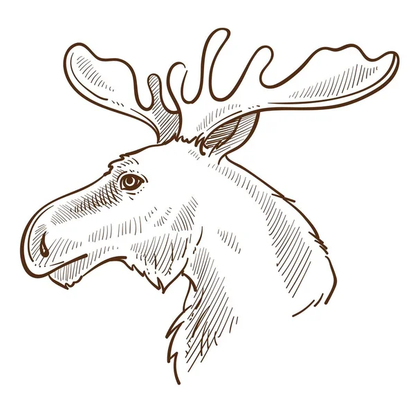 Wapiti Orignal Canadien Animal Symbole Avec Cornes Ramifiées Faune Isolé — Image vectorielle