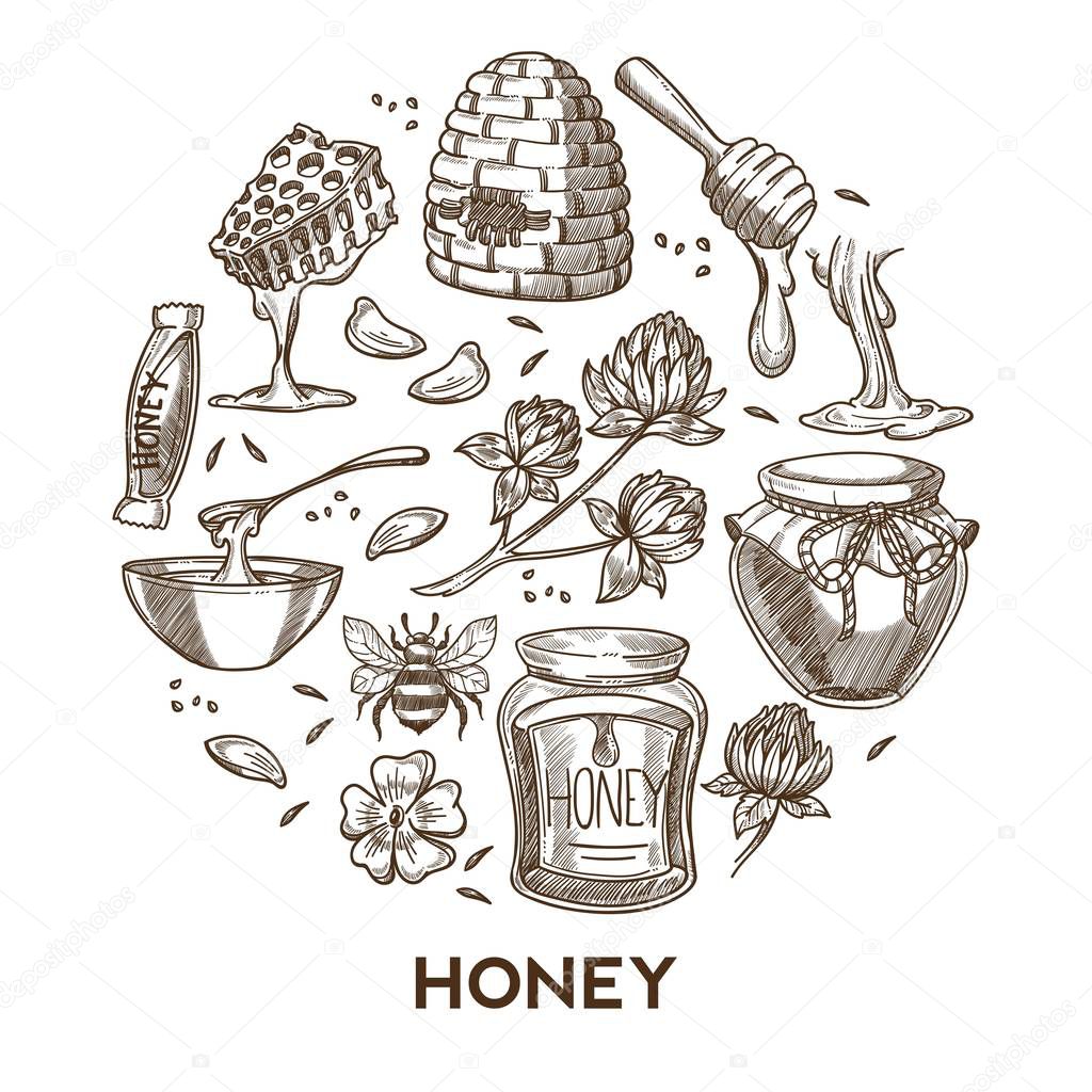 Beekeeping and apiary honey products tools apiculture and farming vector sketch organic food beehive and honeycomb flower pollen bee and clover candy bar and preserved jars dipper treat or dessert.