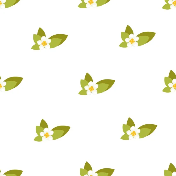 Seamless Pattern Jasmine Flowers Vector Background Illustration — Stock Vector