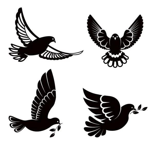 Duva eller duva, vit fågel som flyger med sprida vingar i himlen eller sittande. — Stock vektor