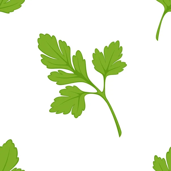 Parsley seasoning seamless pattern salad or dish ingredient — Stock Vector