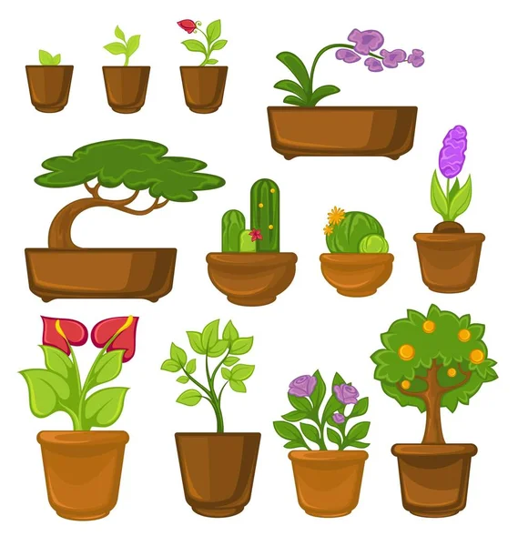 Árboles Flores Plantas Interior Cactus Bonsái Calla Rosa Brotes Vectores — Vector de stock