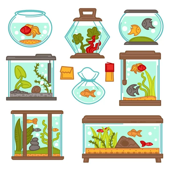 Aquário Animais Subaquáticos Peixes Algas Decoração Interior Vetor Animais Estimação —  Vetores de Stock