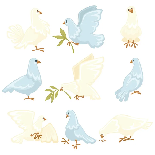 Ειρήνη Σύμβολο Λευκό Περιστέρι Περιστέρια Απομονωμένες Διάνυσμα Ζώων Κλαδί Ελιάς — Διανυσματικό Αρχείο