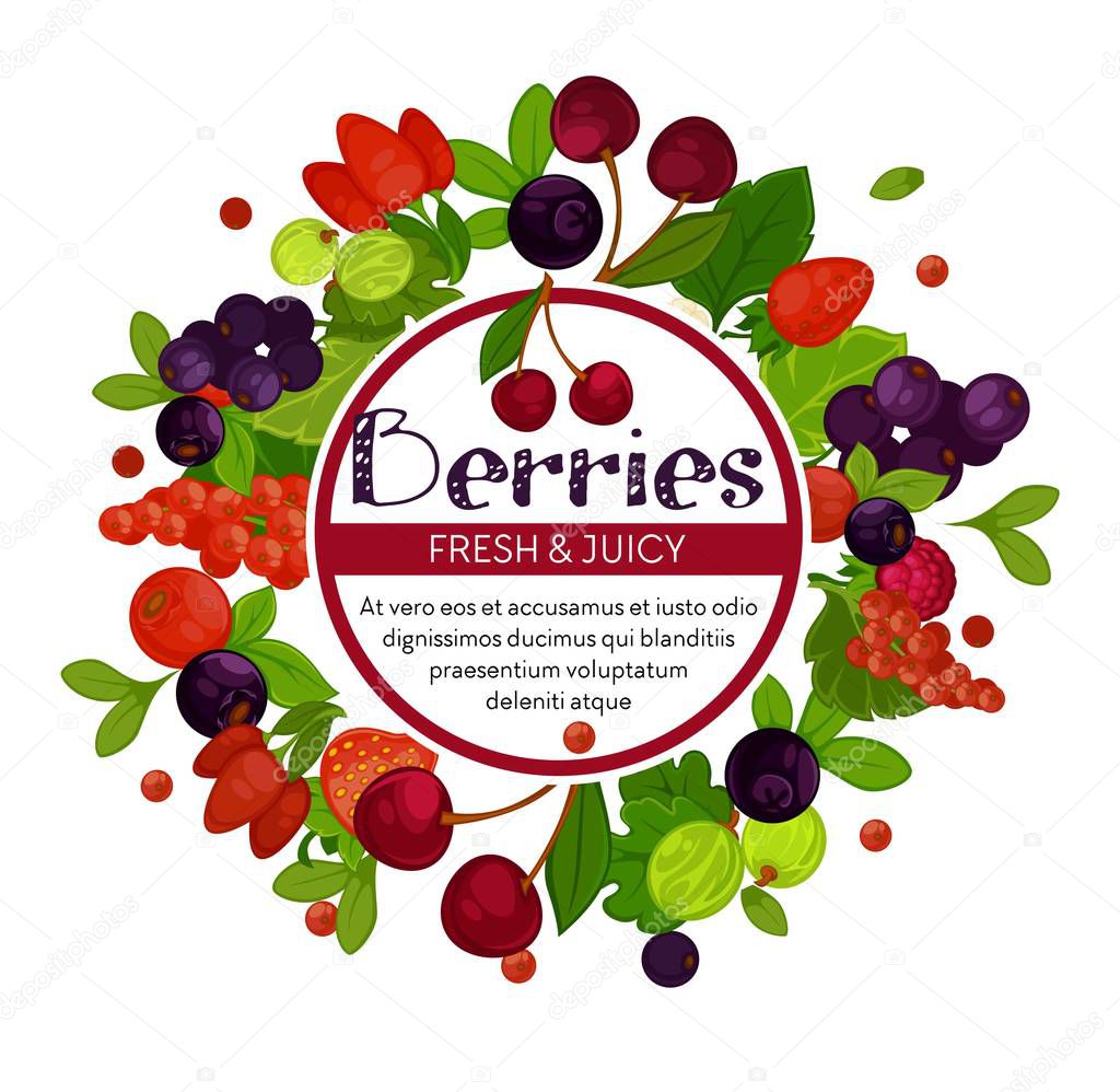 Cherry and currant berries isolated emblem vector goose berry blueberry and raspberry goose berry organic food dietary or vegan menu vitamins and immune system healthy product logo mockup foliage.