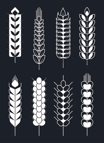 아이콘 스케치 상징적인 시리얼 영양과 블랙에 농장에서 식물의 — 스톡 벡터