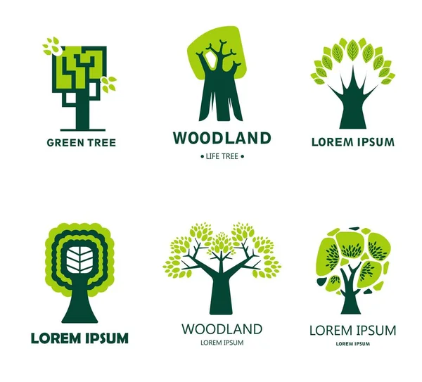 Skog Eller Skogsmark Isolerade Ikonen Träd Ekologi Och Ren Miljö — Stock vektor