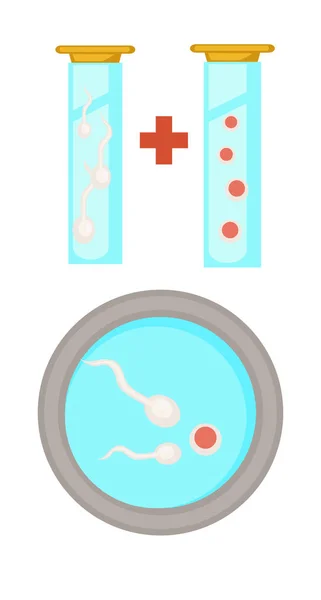 Беременность Медицина Стадии Экстракорпорального Оплодотворения Подготовка Сперматозоидов Извлечения Яйцеклеток Гинекология — стоковый вектор