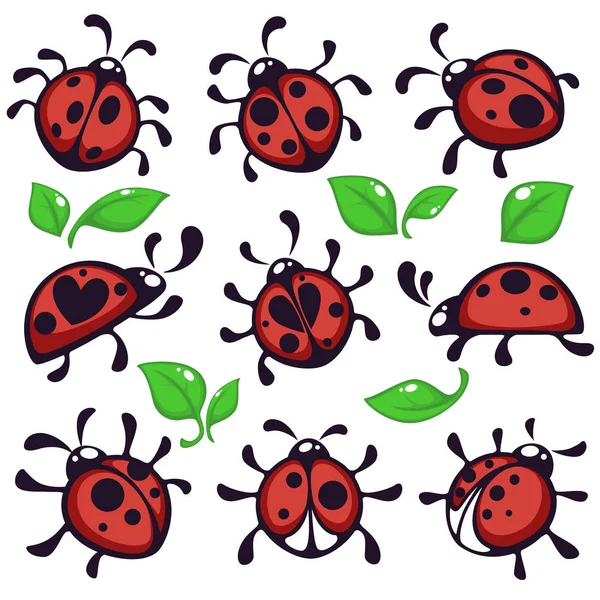 Bug Vagy Rovar Katicabogár Vagy Katica Levelek Elszigetelt Állat Vektor — Stock Vector