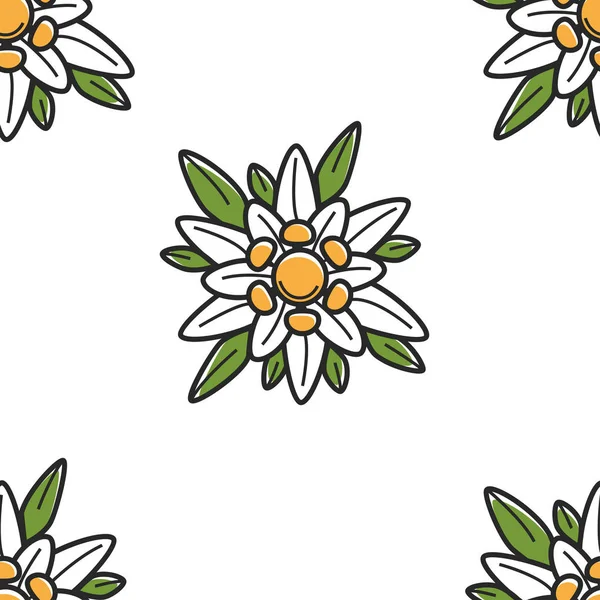 Edelweiss Wild Flower Oostenrijkse symbool naadloze patroon — Stockvector