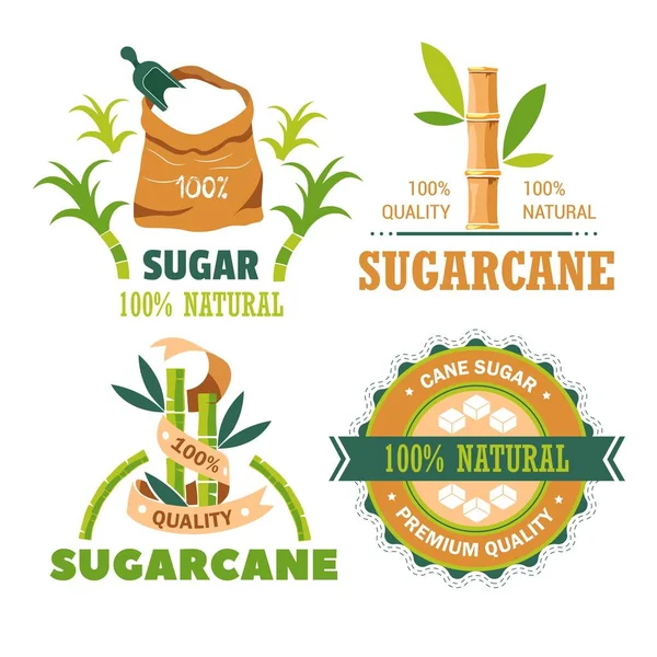 Sugar cane plantation farming and agriculture isolated icons — Stock Vector