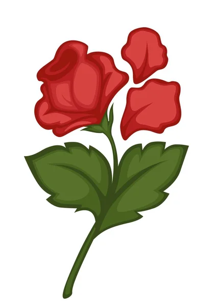 バラの高貴な花と花びらルネッサンスのシンボル孤立した植物 — ストックベクタ