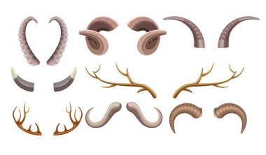 Hayvan boynuzları avcılık kupa keçi geyik ve geyik kaçak avcılık