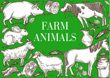 Çiftlik hayvanları çerçeve poster sığır ve hayvancılık yetiştiriciliği