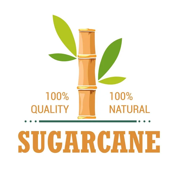 Natural organic product sugarcane isolated icon plantation — Stock Vector