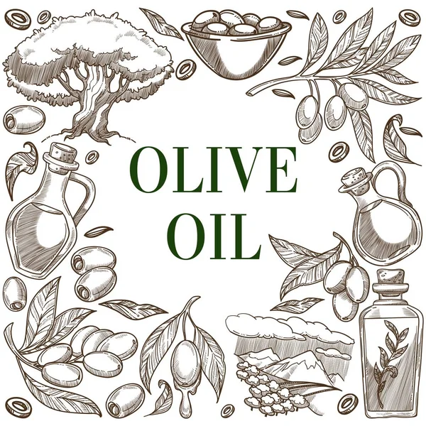 Aceite de oliva frutas rama bocetos marco cartel — Vector de stock
