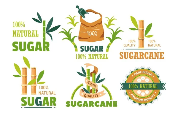 Sugar cane product sweet condiment isolated icons — Stock Vector