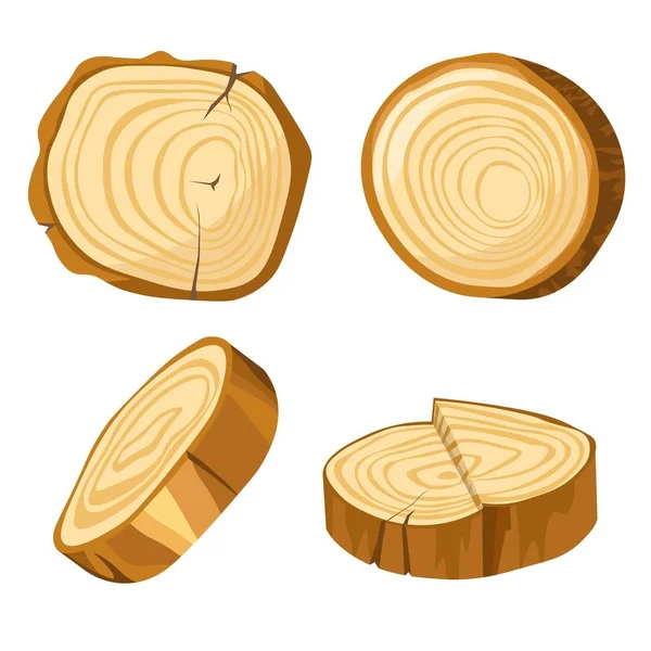 Material natural floresta log fatia de madeira e elementos de madeira —  Vetores de Stock
