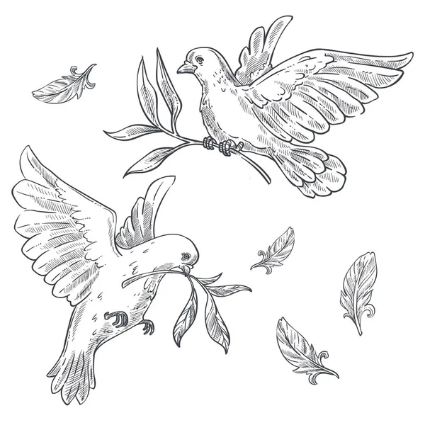 Tourterelles ou pigeons à branche d'olivier ou rameau en bec croquis isolés — Image vectorielle