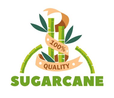 Organik şeker ürünü şeker kamışı tatlandırıcı izole simgesi