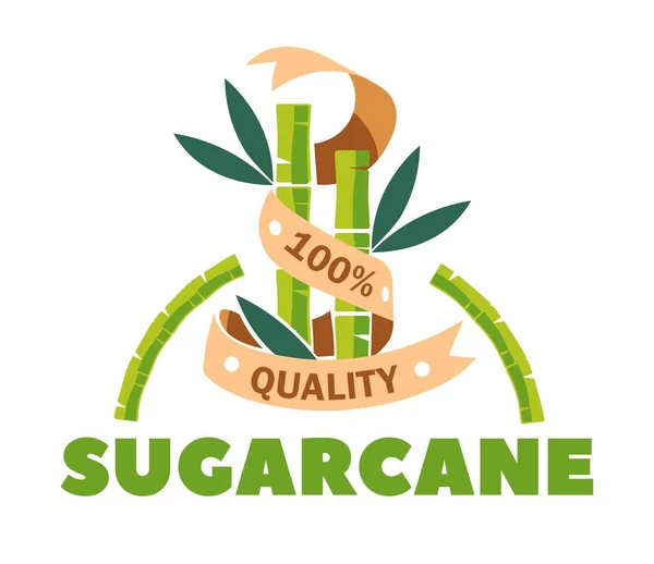 Organic sugar product sugarcane sweetener isolated icon — Stock Illustration Organic sugar product sugarcane sweetener isolated icon Stock Illustration