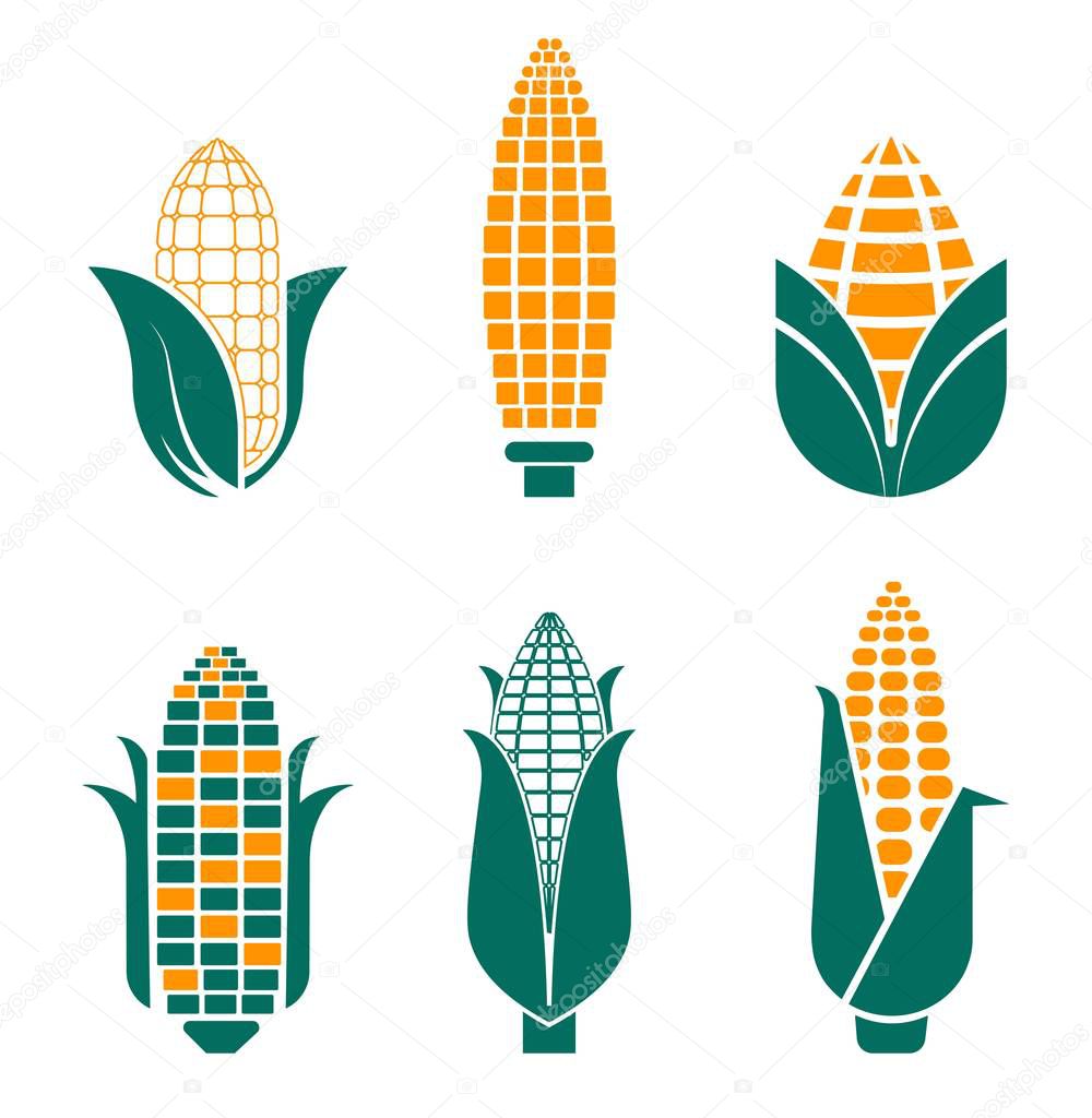 Corn vegetables isolated icons farm food and field plant