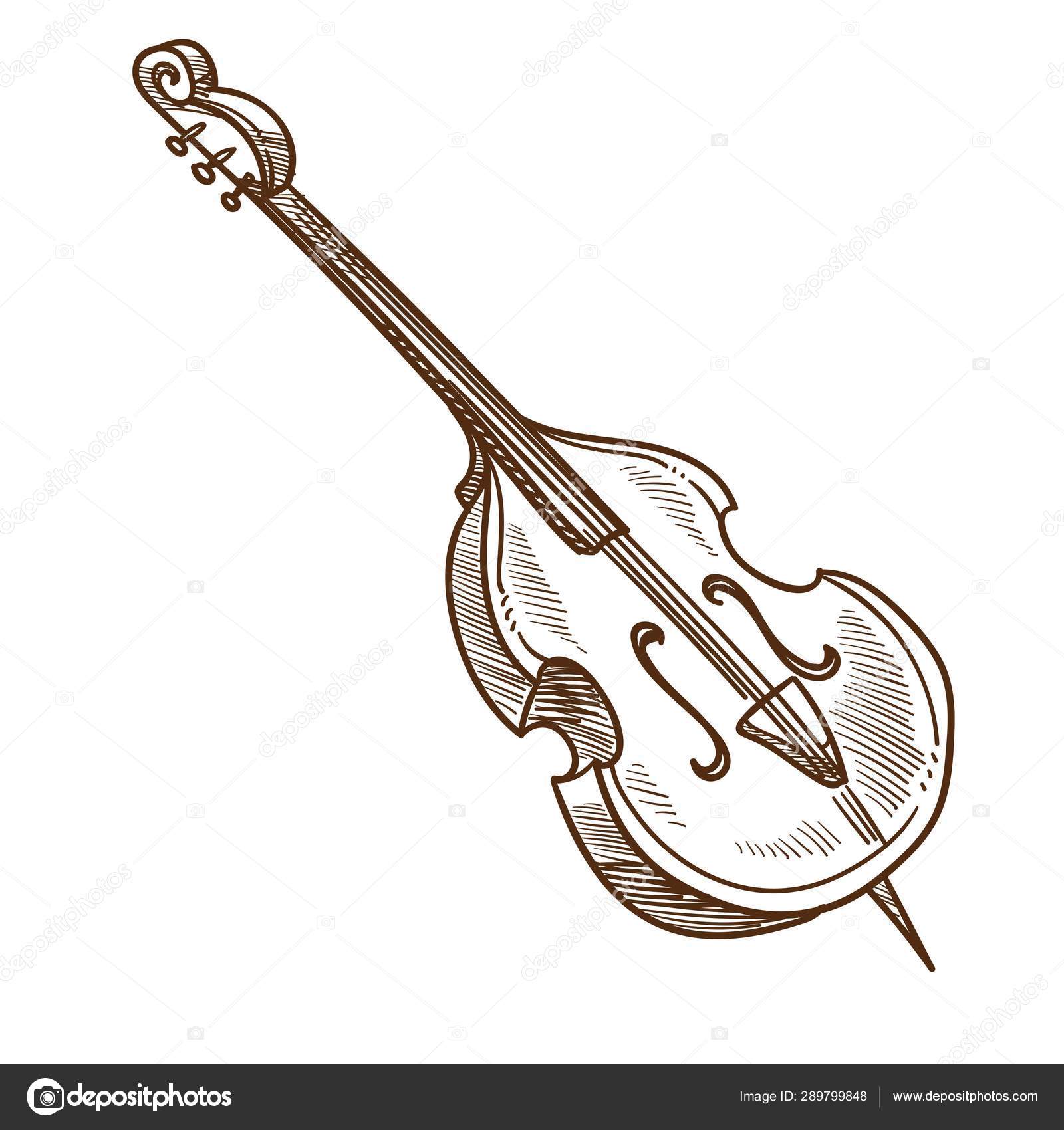 https://st4.depositphotos.com/1028367/28979/v/1600/depositphotos_289799848-stock-illustration-musical-instrument-violoncello-or-cello.jpg