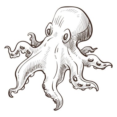 Sualtı hayvan ahtapot deniz yaratık izole kroki