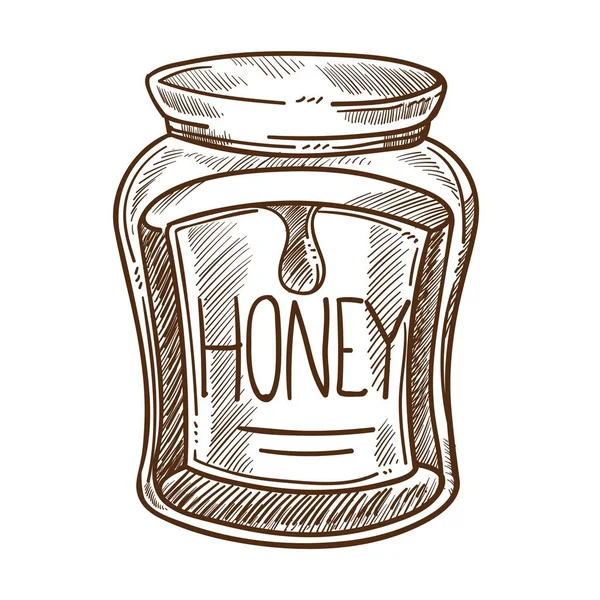 Honung i burk ekologisk mat isolerad skiss biodling — Stock vektor