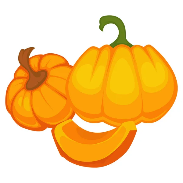 Trozos de calabaza y rodajas vector vegetal orgánico entero — Vector de stock