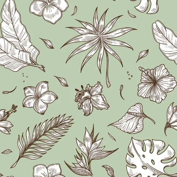 Monstera y hojas de palma decoración floral boceto monocromo — Vector de stock