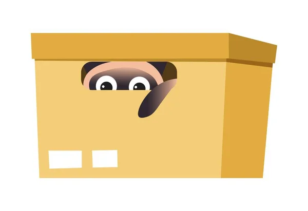Картонная коробка с сиамским котом, прячущимся внутри домашнего животного или домашнего животного — стоковый вектор