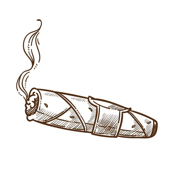 시가 흡연 천연 담배 고립 스케치 빈티지 액세서리 — 스톡 벡터