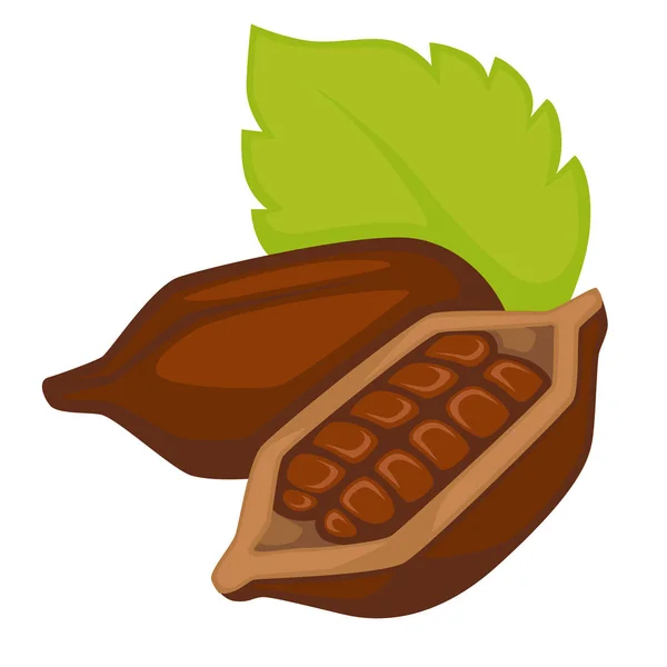 Producción de chocolate granos de cacao en concha objeto aislado — Vector de stock