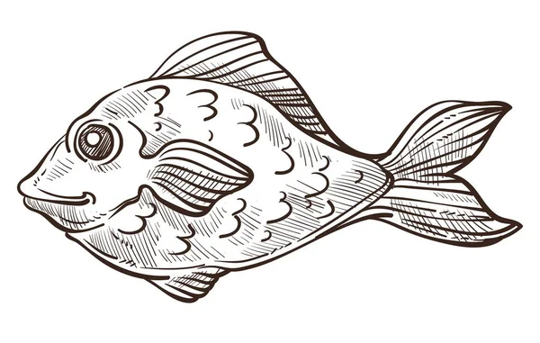 Poisson croquis isolé, basse ou animal sous-marin, symbole marin — Image vectorielle