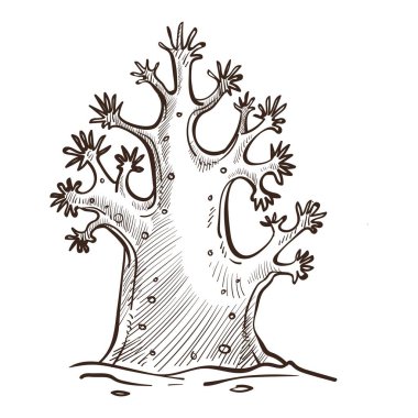 Sivri izole kroki ile Mercan, sualtı egzotik bitki