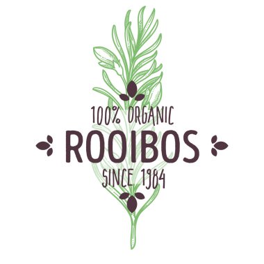 Rooibos, herbal tea plant, leaf on branch, organic herb, isolated icon with lettering vector. African plant, hot drink ingredient, flowers or blossom, emblem or logo. Spice or farm food market product clipart