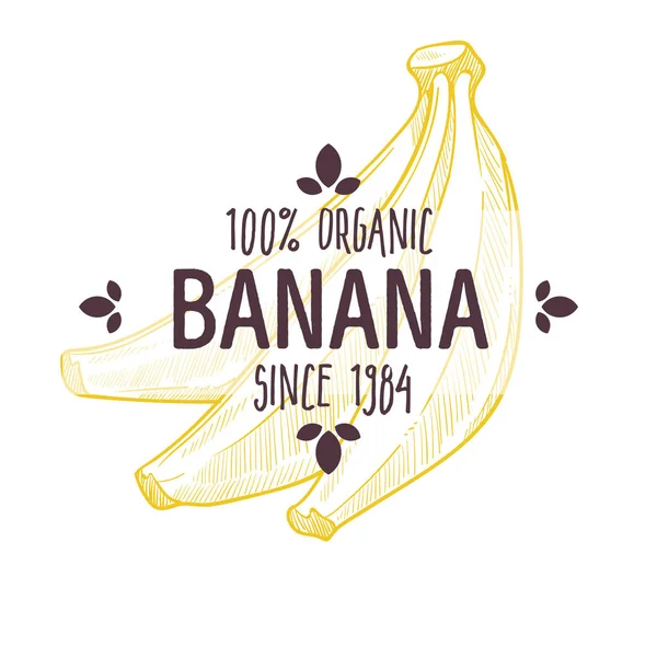 Etichetta di banana biologica al 100% con frutta tropicale intera per tutti i design di imballaggio alimentare naturale — Vettoriale Stock