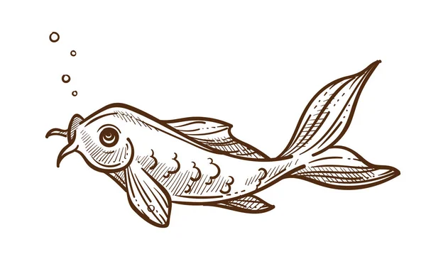 鱼类呼吸气泡、淡水鱼或淡水鱼分离草图 — 图库矢量图片