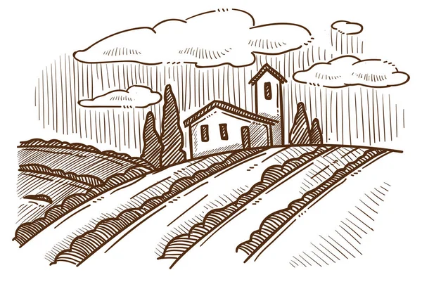Οινοποιία αγρόκτημα, σπίτι και φυτείες σταφυλιών τοπίο σκίτσο — Διανυσματικό Αρχείο