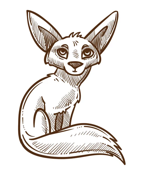 Animal sauvage africain, fennec fox croquis isolé — Image vectorielle