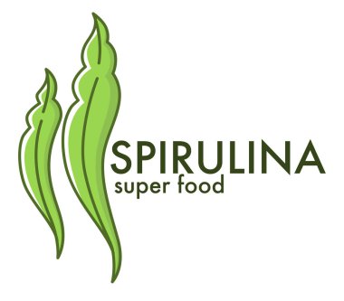 Aşırı yemek, vitamin ve mikro elementlerle detoks malzemesi. Beslenme takviyesi, doğal beslenme. Vejetaryen ya da vejetaryen menüsü için yosun. Laminaria düz biçimli yenilebilir ot vektörü
