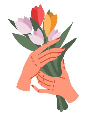 Kadınlar ya da anneler günü kutlamaları, manikürlü tırnakları olan zarif kadın elleri lale buketi tutuyor. Özel gün ya da tatil hediyesi, tarih ya da doğum günü, düz vektör