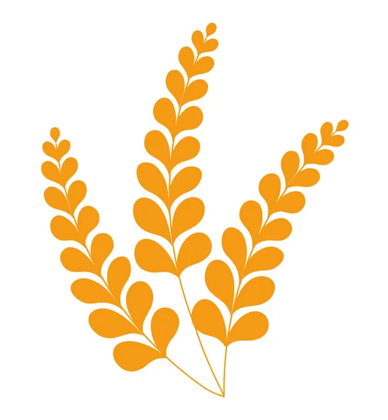 Weizen Oder Gerstenspikes Glutenfreies Bio Produkt Isoliertes Emblem Goldene Ähren — Stockvektor