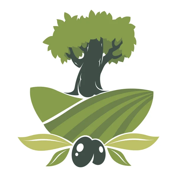 橄榄种植园标签 田里的树 草莓或橄榄的生产 乡村视野 有机增长和耕作 农业和收割工程 标志或横幅 平面矢量 — 图库矢量图片